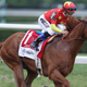 Image for article titled Report: Triple Crown Winner Justify Failed Drug Test Ahead Of Kentucky Derby